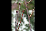 120125_010