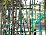 120125_046