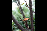 120125_050