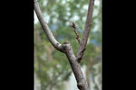 120125_054