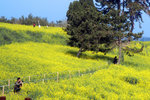 002-IMG_2878