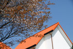 004-IMG_2886