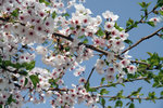 008-IMG_2892
