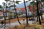 010-IMG_2897