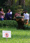 PICT0305e