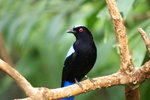 PICT0681e
