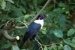 PICT0692e
