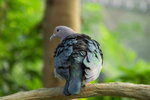 PICT0719e