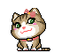 cats6
