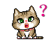 icutecat19