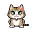icutecat20