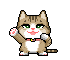 icutecat30