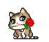 icutecat34
