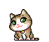 icutecat37