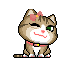 icutecat40