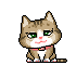 icutecat44