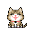 icutecat51