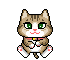 icutecat53