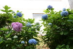 2jul (15)