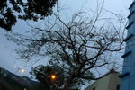P1000512