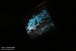 IMG_5568 copy