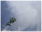 PICT5014