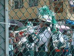 DSC06360