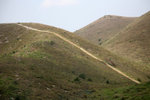 IMG_0311_1