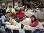 IMGP5537