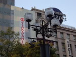 AIMGP3895 (340)