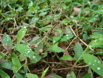 DSC02214