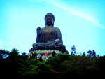 DSC02482_lomo