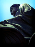 DSC02485_lomo