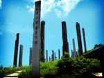 DSC02491_lomo
