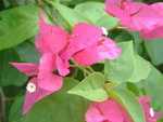 DSC00172