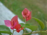DSC00173