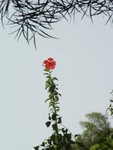 DSC00507