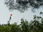 DSC00508