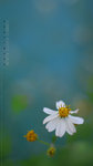 spa11.1090410
