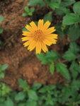 20090930(3)