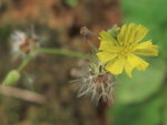 20090930(4)