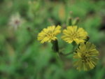 20090930(5)