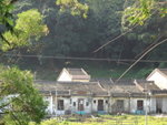 fgyj007