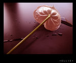 �y�O3