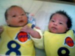 lovely BBxd