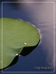 aIMG_9404