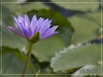 aIMG_9415