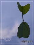 aIMG_9424