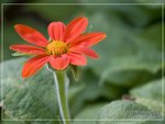 aIMG_9427
