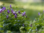 aIMG_9443